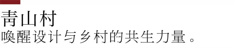 11.webp